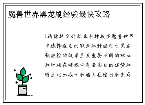 魔兽世界黑龙刷经验最快攻略